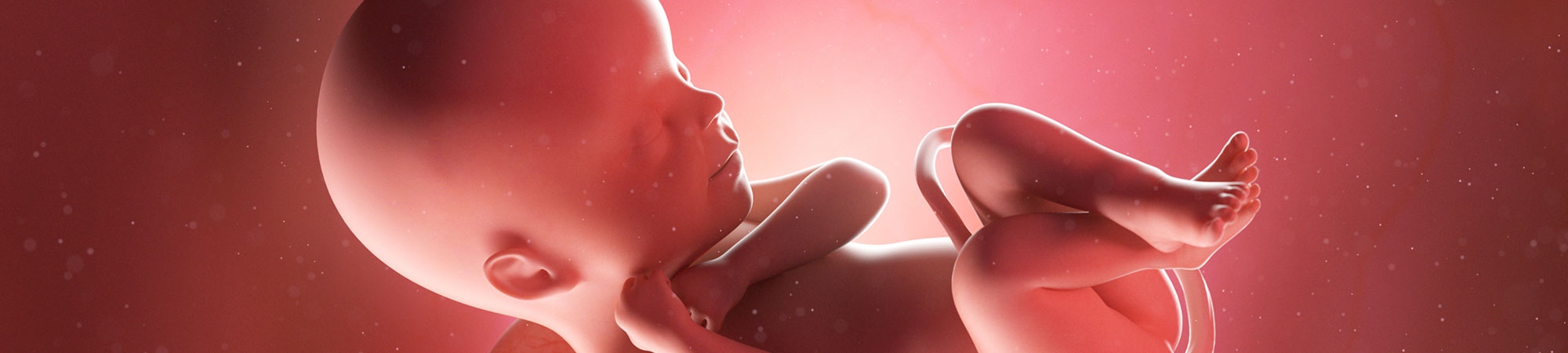 היכן החל המפץ הגדול? שטיפת מוח 102