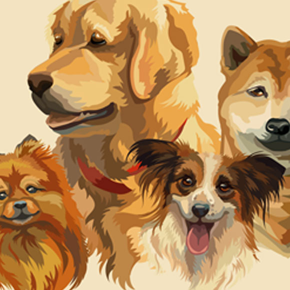 כל גונֵי הכלב