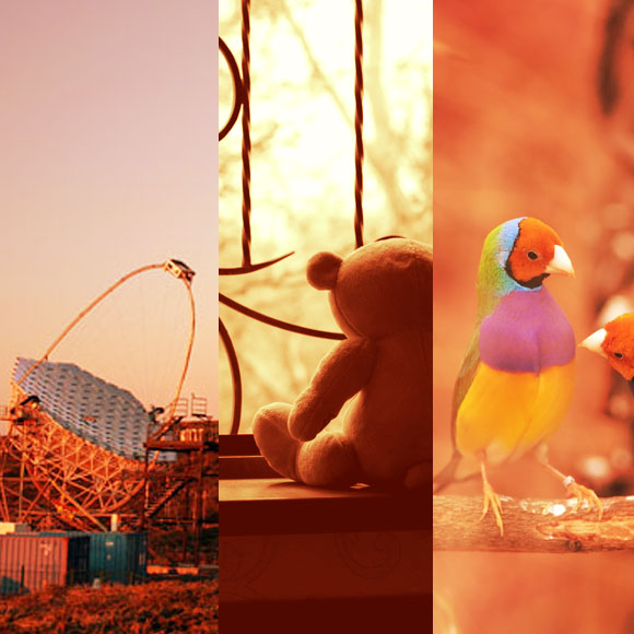 מהנשמדע 22/11 – מחקרים חדשים ביותר