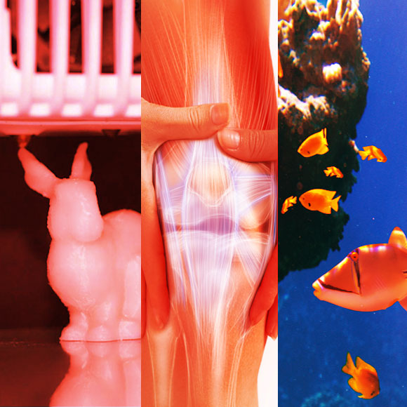 מהנשמדע 13/12 – המחקרים החדשים ביותר