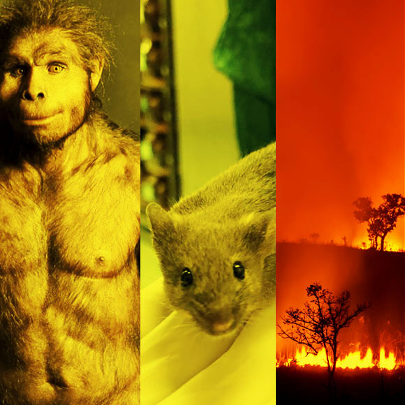 מהנשמדע 27/12 – מחקרים חדשים ביותר