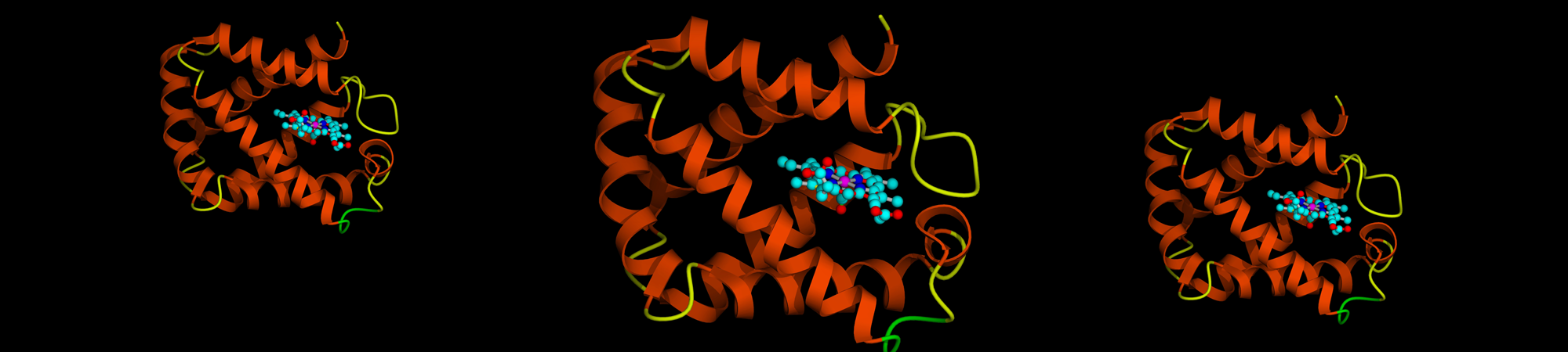 ما هي الإنزيمات؟