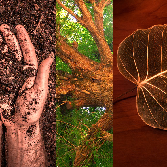 מהנשמדע 17/1 – מחקרים חדשים ביותר