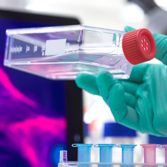 החלב הנוטף מהשיניים