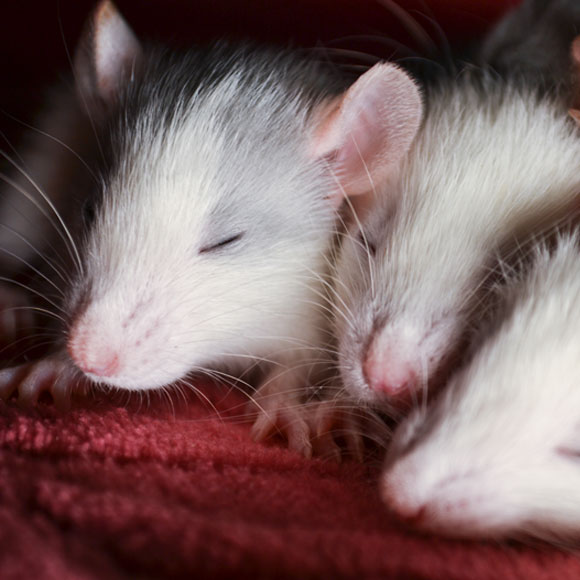 على أمواج الذّاكرة