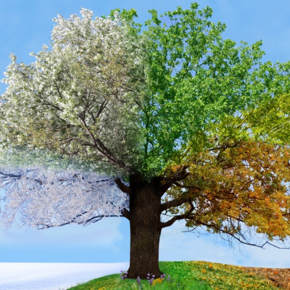 שטיפת מוח ג’וניור 4# עונות השנה