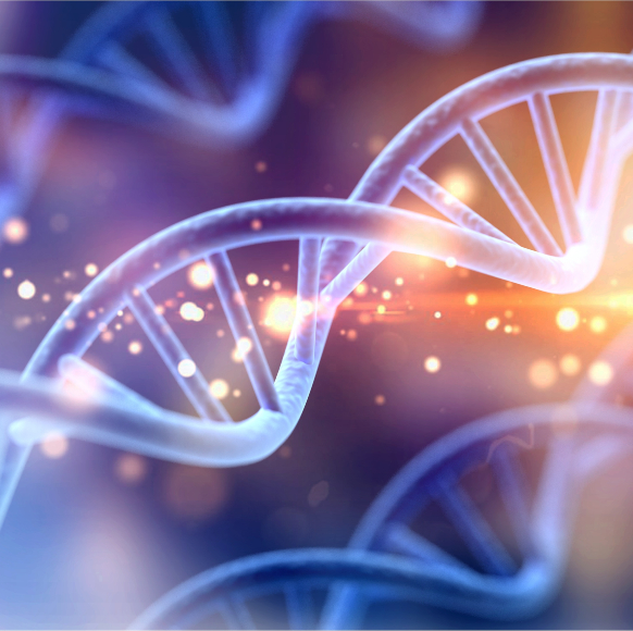 חידון הגנטיקה ג’וניור 13#