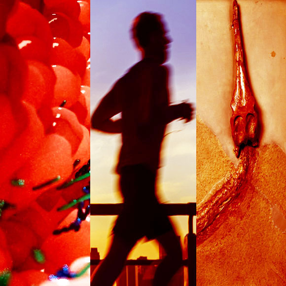 מהנשמדע 8/5 – מחקרים חדשים ביותר