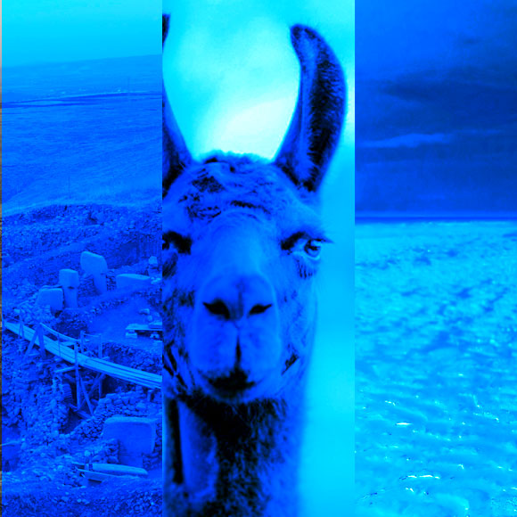 מהנשמדע 15/5 – מחקרים חדשים ביותר