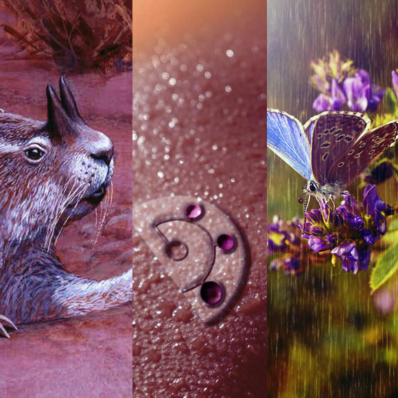 מהנשמדע 26/6 – מחקרים חדשים ביותר