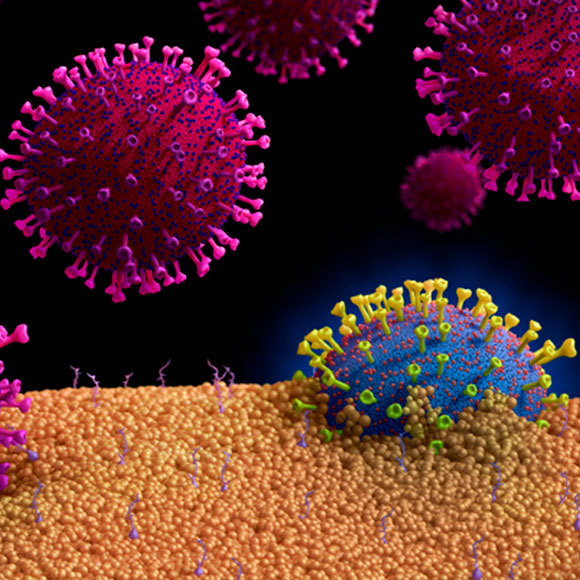 الفيروسات متحوّلة الهويّة