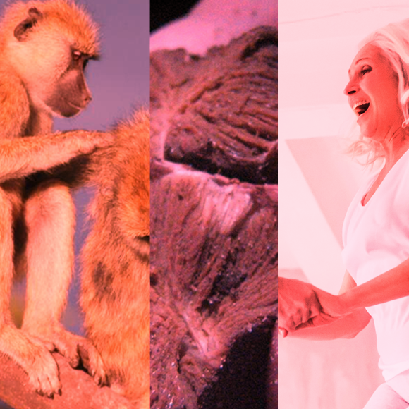 מהנשמדע 29/9 – מחקרים חדשים ביותר