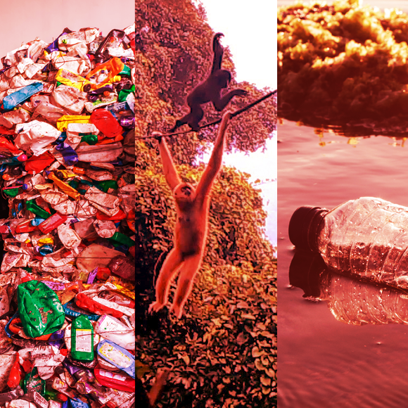 מהנשמדע 23/10 – מחקרים חדשים ביותר