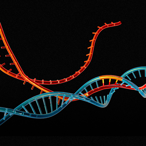 نزاعات “كريسبر”