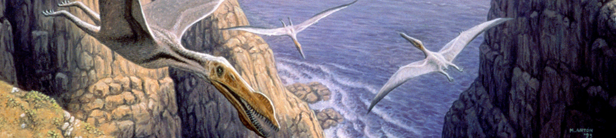 המלחמה על השמיים הקדומים