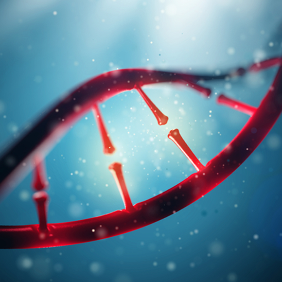 صف تسلسلات الجينوم