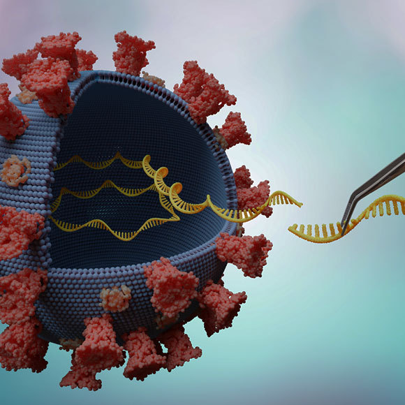 التّطعيمات المعتمِدة على الـ RNA: جِدِ الفرقَ