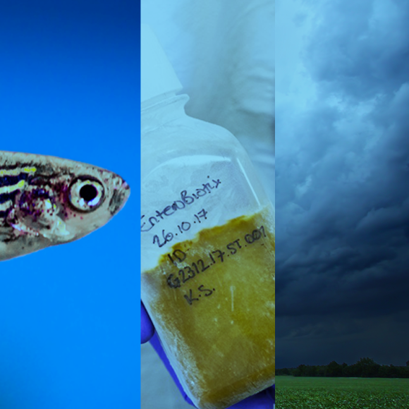 מהנשמדע 21/2 – מחקרים חדשים ביותר