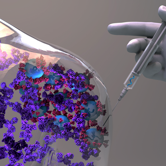 The numbers reveal: The vaccines work