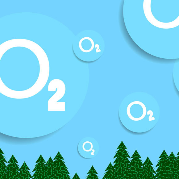 مصدر الأكسجين الذي نتنفسه