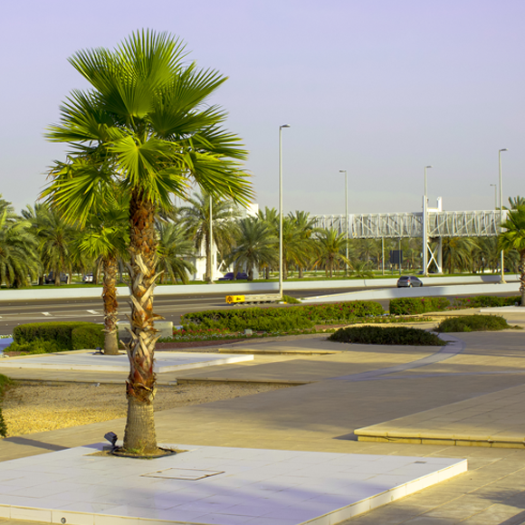 האוויר אחרי הסגרים: לא כל כך נקי