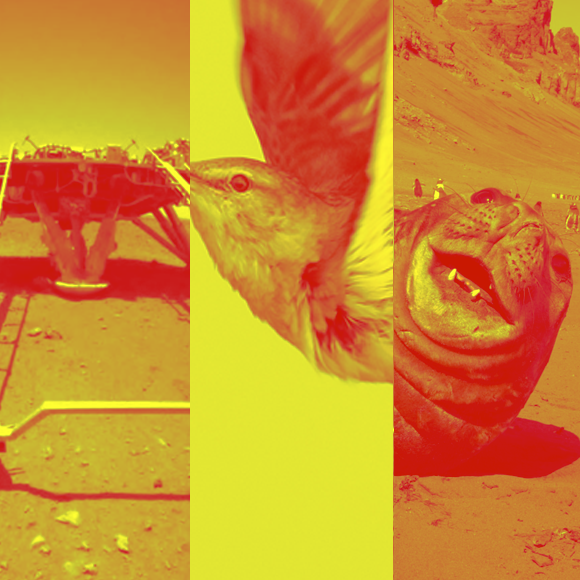 מהנשמדע 28/5 – המחקרים החדשים ביותר