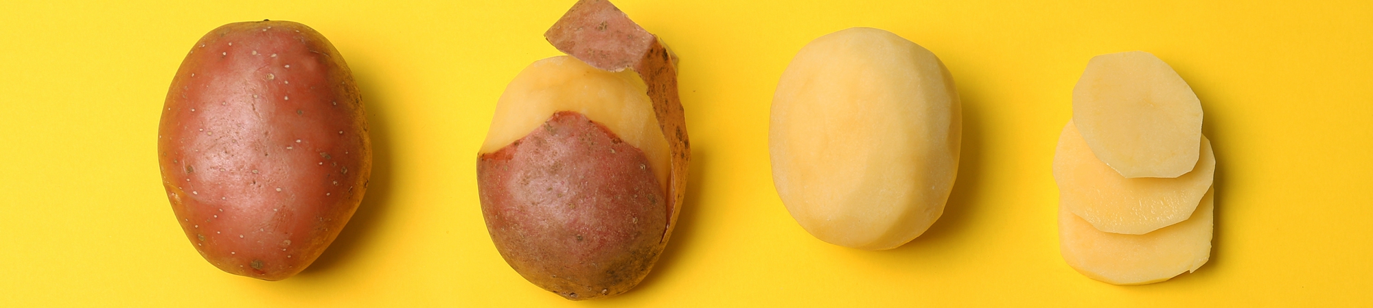 Junior Brainwash #20