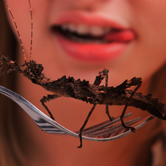 If there are no steaks, let us eat grasshoppers