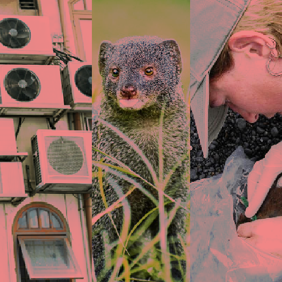 מהנשמדע 12/6 – המחקרים החדשים ביותר