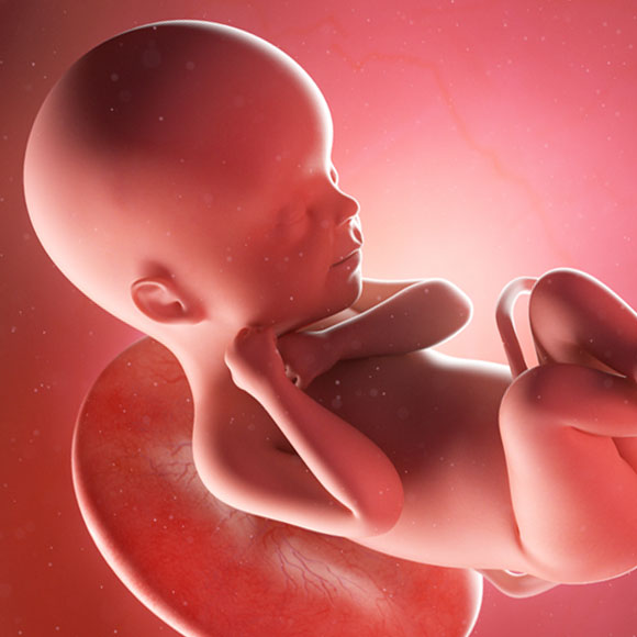 من أين بدأ الانفجار العظيم؟ غسيل الدماغ #16