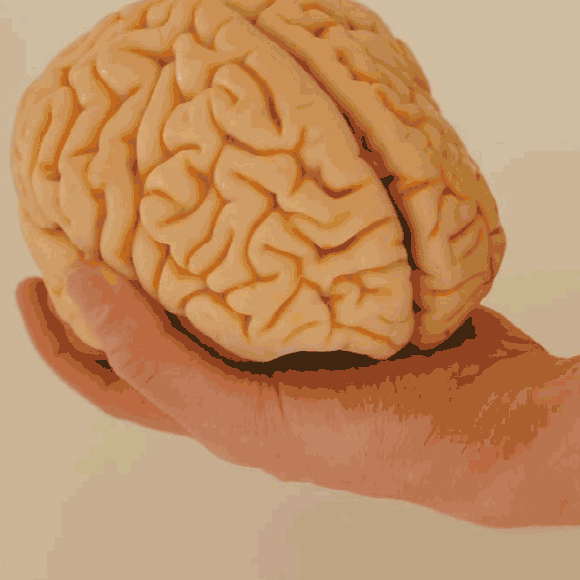 ما هو الهولوغرام؟ غسيل الدماغ #17