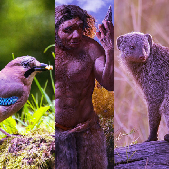 מהנשמדע 2/7 – המחקרים החדשים ביותר