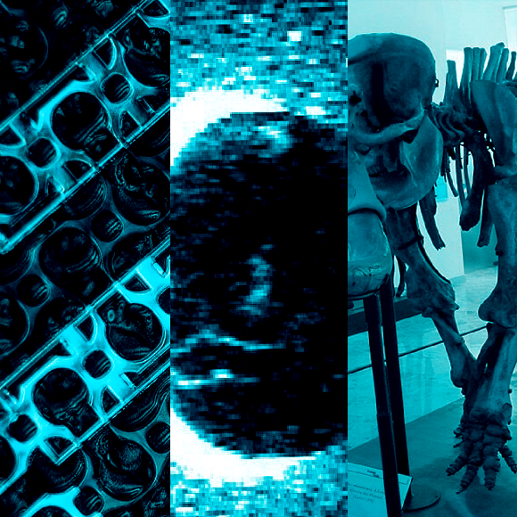 המחקרים החדשים ביותר: מהנשמדע 9/7