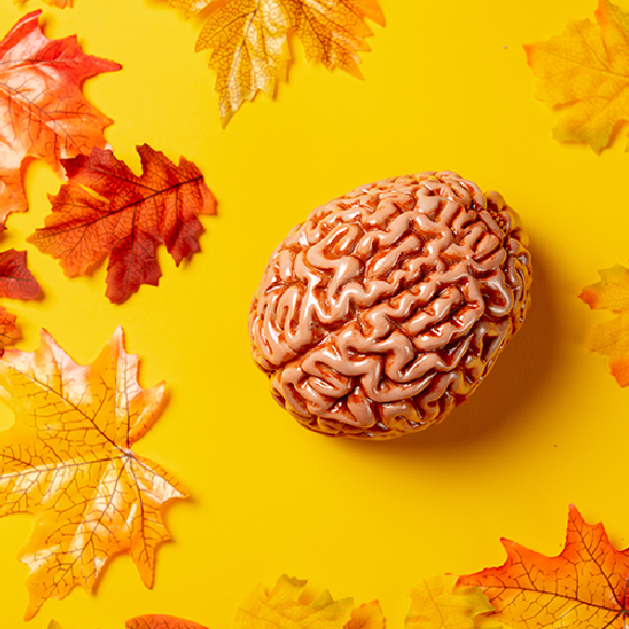 שטיפת מוח ג’וניור 44 – סתיו וחגי תשרי