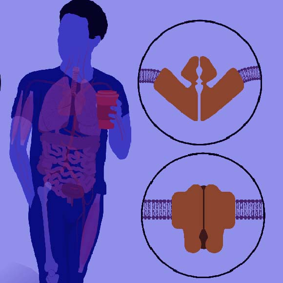نوبل في الطب2021: آليات استشعار الحرارة والضغط