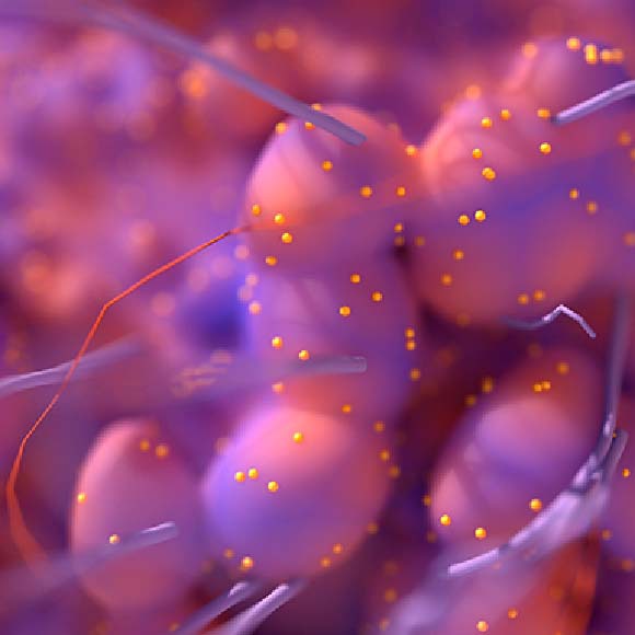 הטיפול שעולה לסרטן על העצבים