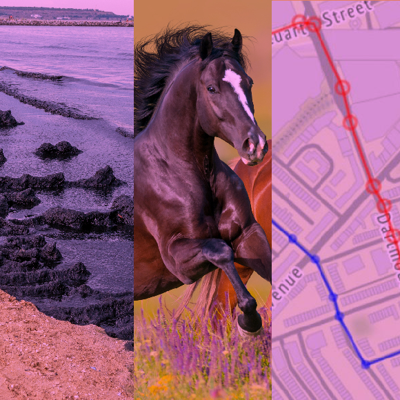 המחקרים החדשים ביותר: מהנשמדע 6/11