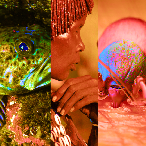 המחקרים החדשים ביותר: מהנשמדע 27/11