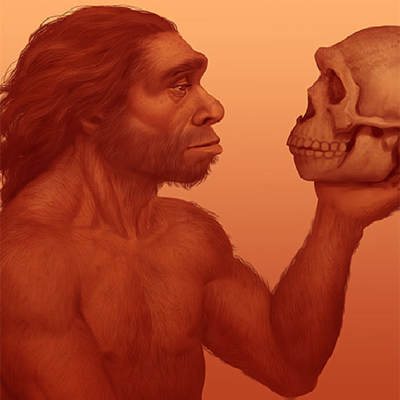 Jaw of Contention: Who Was Nesher Ramla Homo?