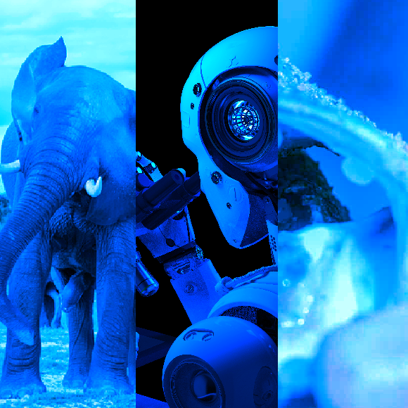 המחקרים החדשים ביותר: מהנשמדע 1/1