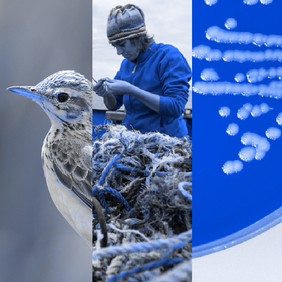 המחקרים החדשים ביותר: מהנשמדע 7/1/22