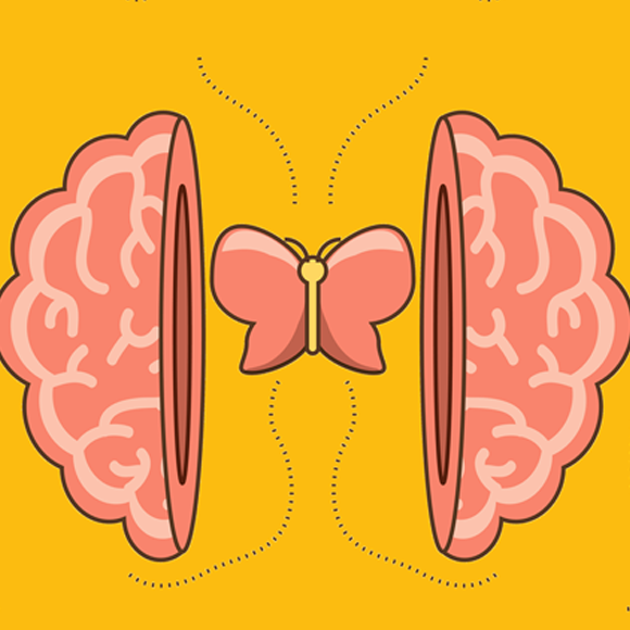Junior Brainwash – What is Biomimicry?