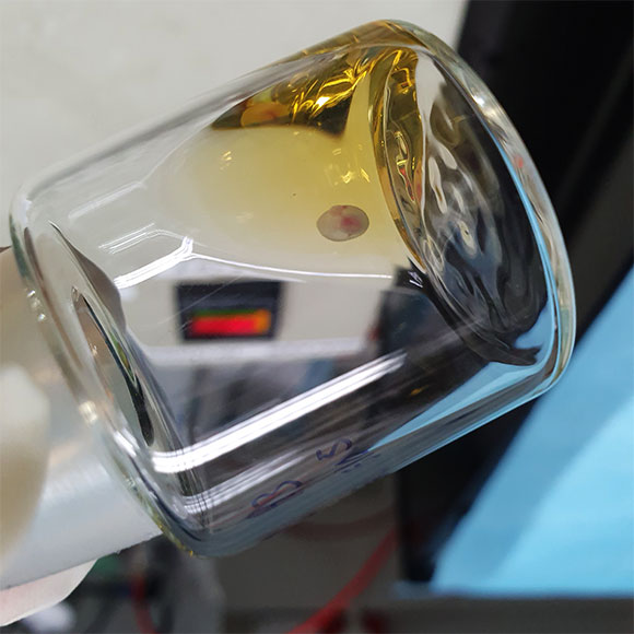 خارج الرّحم: دراسة في معهد وايزمان ضمن الاكتشافات الواعدة للعام المنصرم 2021