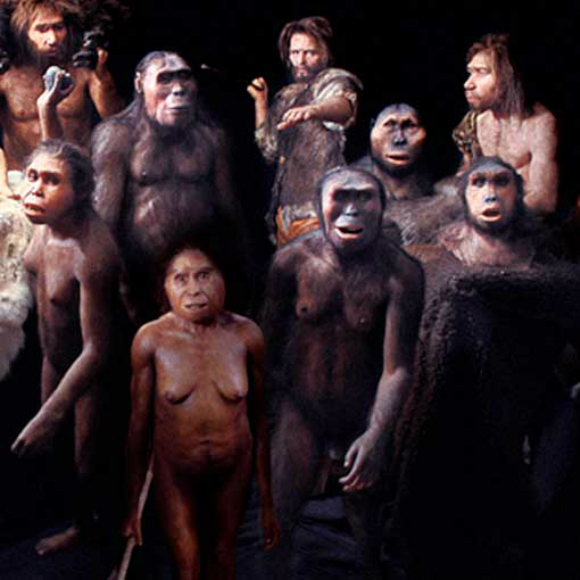 The Puzzling Story of the Origin of Man