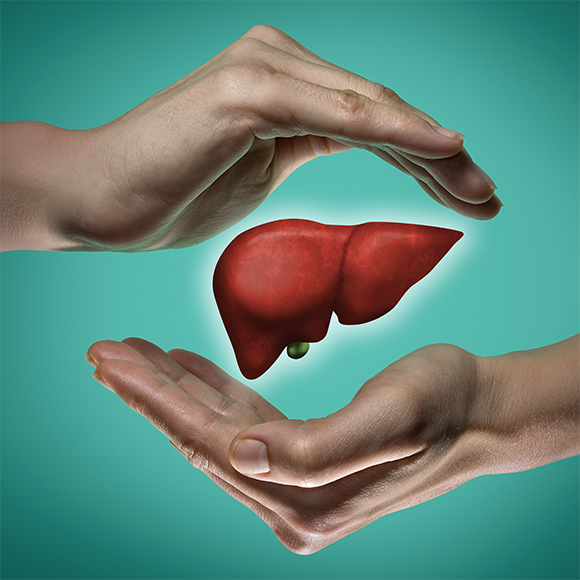 The Superpowers of the Liver