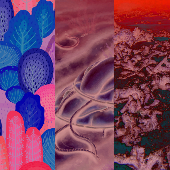 המחקרים החדשים ביותר: מהנשמדע 4/6/2022