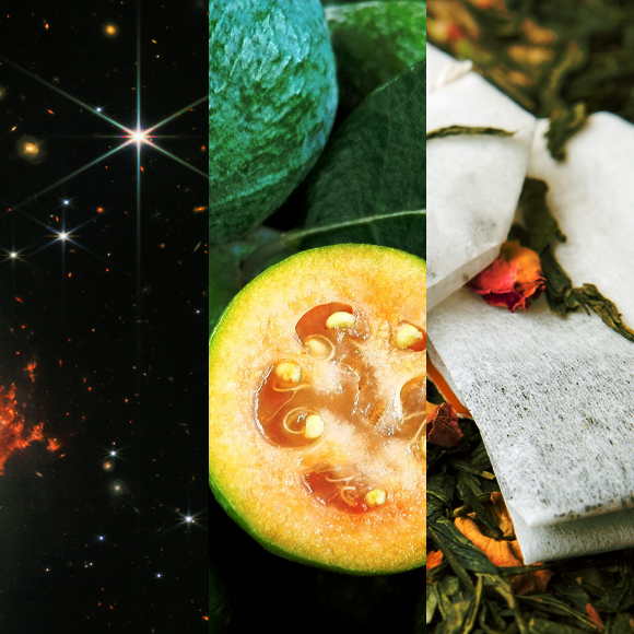 המחקרים החדשים ביותר: מהנשמדע 16/7/2022