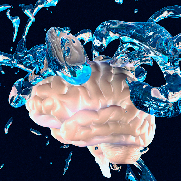 أين يتواجد الطحال؟ غسيل الدّماغ 69