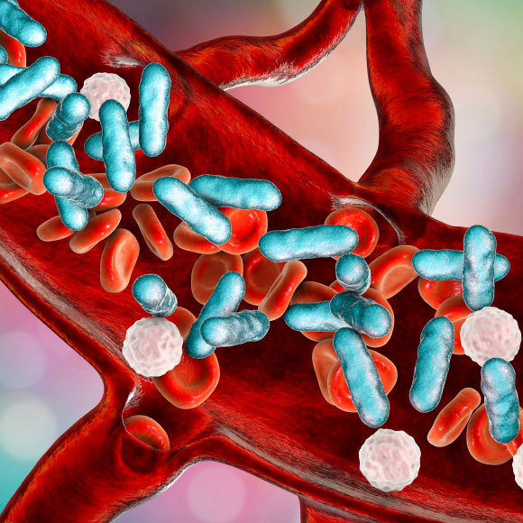 عندما يفقد جهازُ المناعةِ قدرتهُ على السَّيطرة