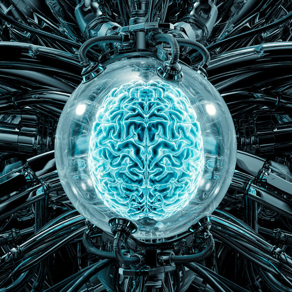 لمن يوجد كروموسوم Y؟ غسيل الدماغ 72